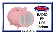 Heden Radio FM USB Cochon