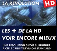 HDCP, foot, Canal + et TPS : ce sera avec HDCP. Oue !