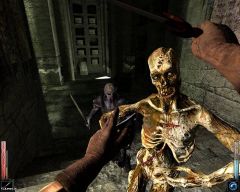 Le bestiaire de Dark Messiah of Might and Magic