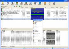 Le Top 10 des logiciels les plus tlchargs en 2007