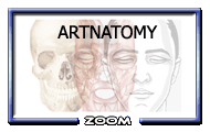 Photo-titre pour cet album: ARTNATOMY