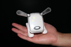 iDog