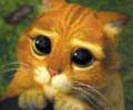 000000C800092891.petit
