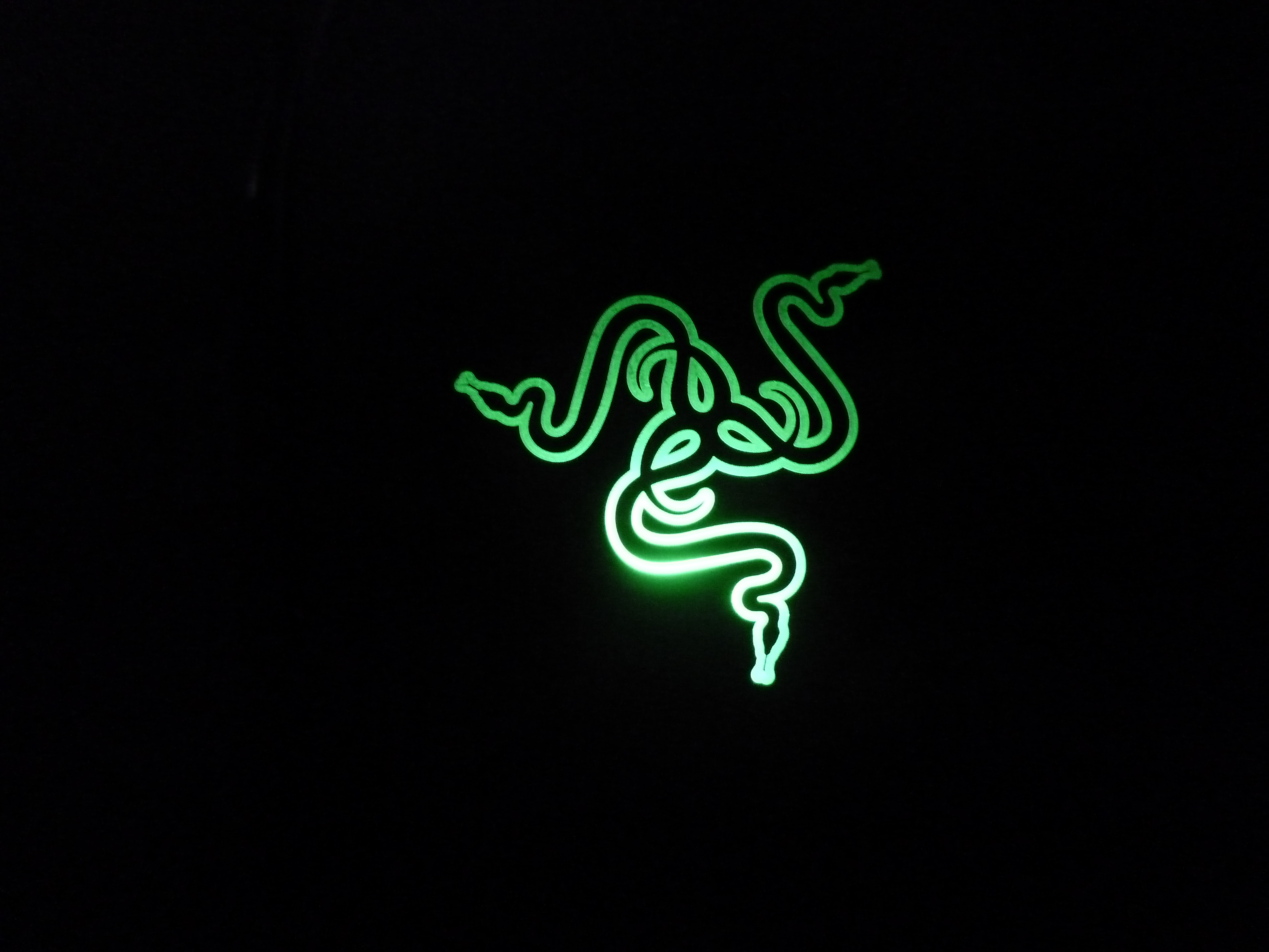 Taipan (26)
