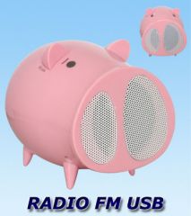 Heden Radio FM Cochon USB