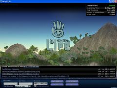 Second Life : vrai phnomne ou objet de drives ?