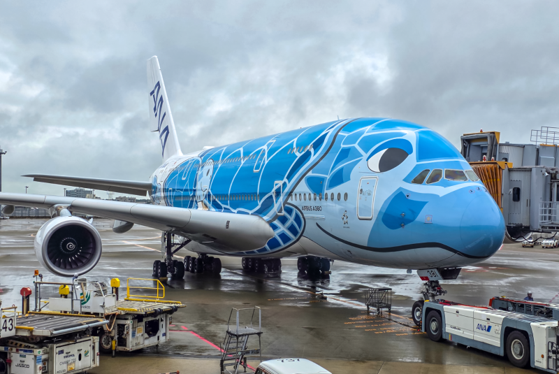 ANA Tokyo Narita Blue Turtle A380