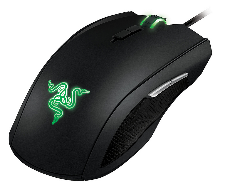 taipan