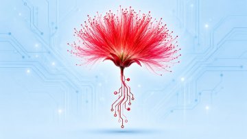 Mimosa Malware