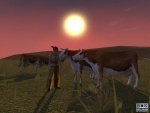 00093290_G.jpg