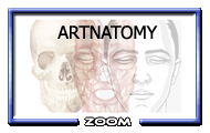article_0104.gif