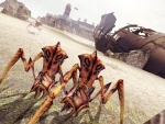 antlion coast