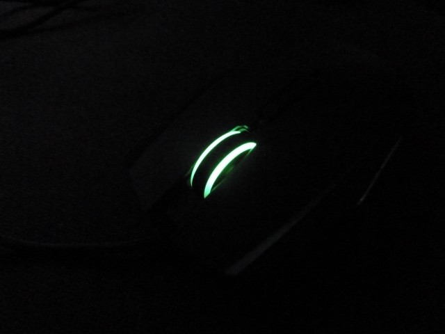 Taipan (25)