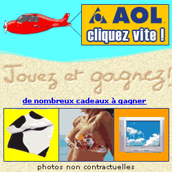 20040610_aol.gif