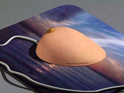 20041102_pic3.jpg