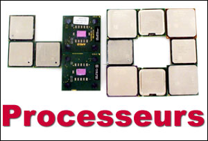 20040902_40cpus.jpg
