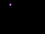 20041231_feu5.gif