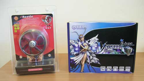 20050227_titanvanessastype_vs_thermaltakebeetle.jpg