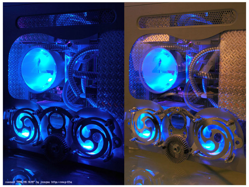 20040811_feelingblue_04.jpg