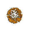 20041231_feu1.gif