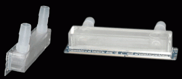 20040820_wbram.gif