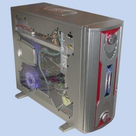 200204_wingo.jpg