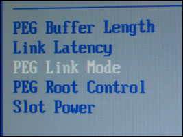 20041209_pegbios.jpg