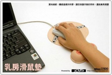20041102_pic2.jpg