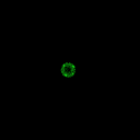 20041231_feu3.gif