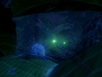 20040809_FireflyForest5.jpg